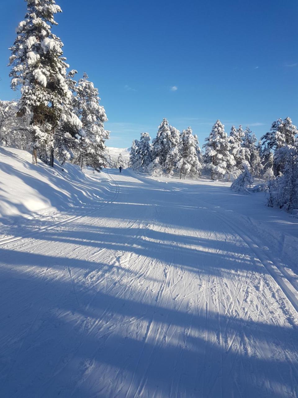 Voss Interlake - Villa Skulestadmo ภายนอก รูปภาพ